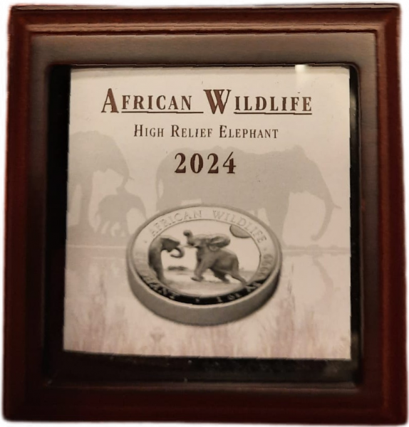 Somalia Elefant 100 Shilling 1 Unze Silber High Relief 2024 PP